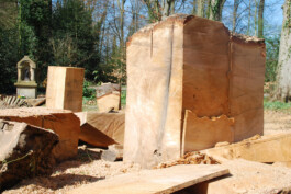 Werner Schlegel Bildhauer Niederntudorf Paderborn Holz Tip Tapping