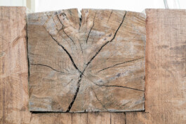 Werner Schlegel Bildhauer Niederntudorf Paderborn Holz Tip Tapping